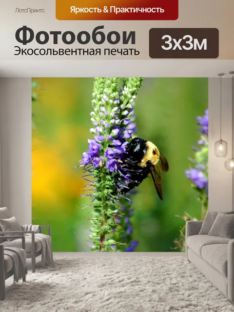 Фотообои Bumble Bee на цветы
