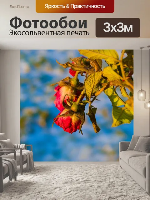 Фотообои Шиповник