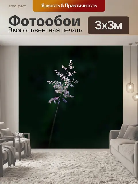 Фотообои Острие травы
