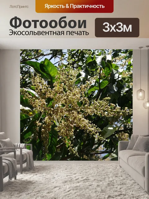 Фотообои Цветы