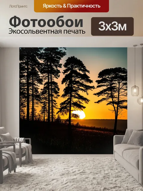 Фотообои лес с вечерним закатом над горизонтом и силуэтами деревьев