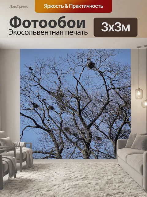 Фотообои Птичьи гнезда