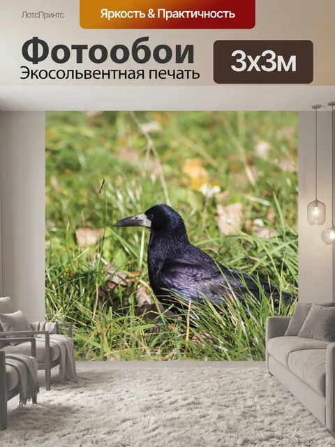 Фотообои Ладья птица