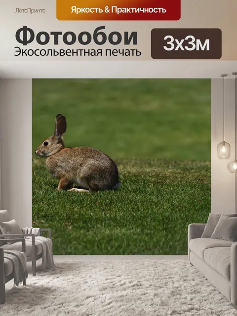 Фотообои Кролик
