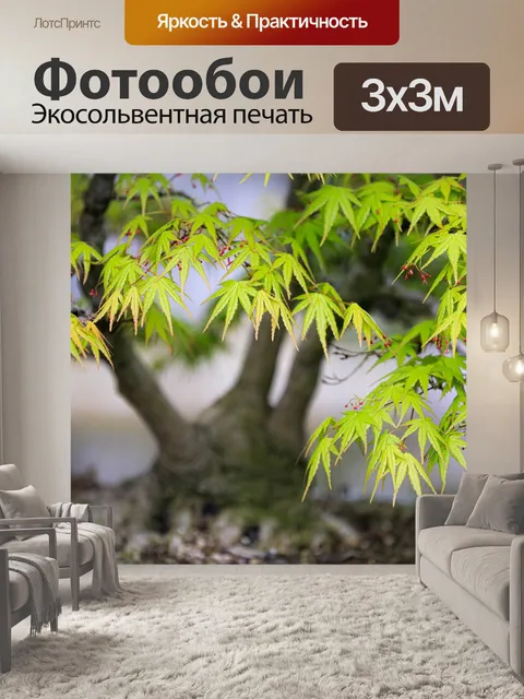 Фотообои Клен