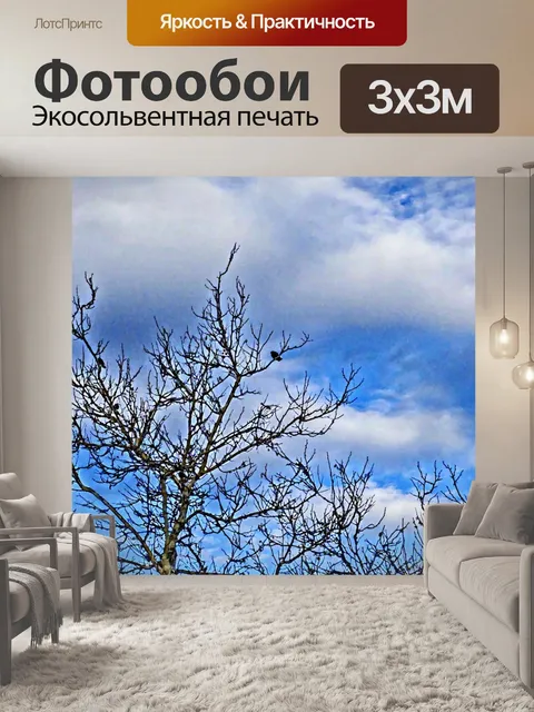 Фотообои Птицы в голых деревьев