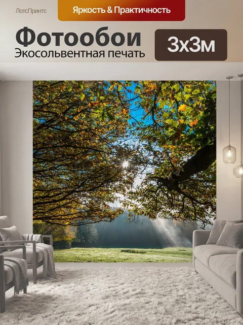 Фотообои Деревья