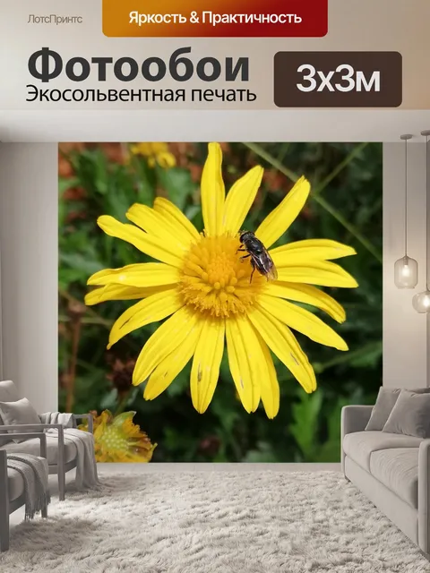 Фотообои Цветы