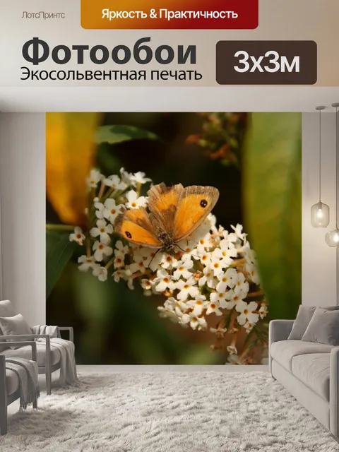 Фотообои Бабочка