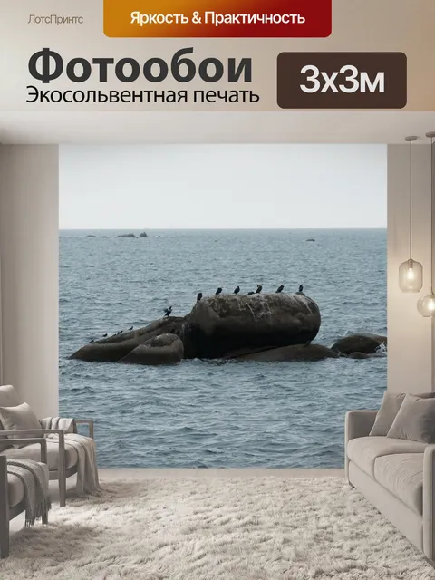 Фотообои Группа бакланов на скале