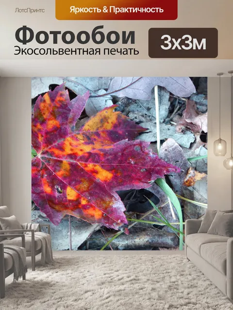 Фотообои осенний лист
