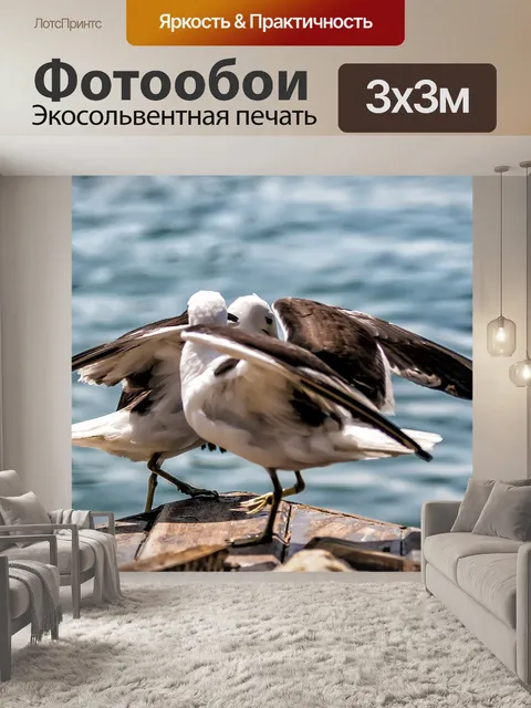 Фотообои Птица