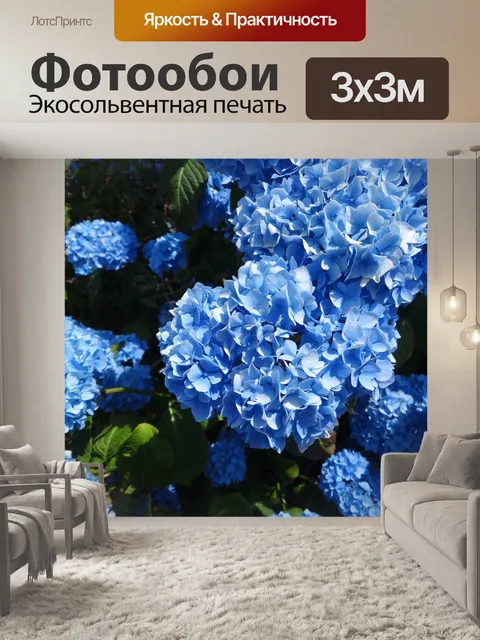 Фотообои Цветы