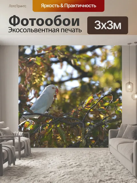 Фотообои Птица