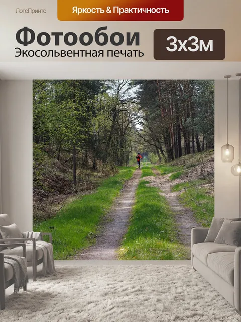 Фотообои Лес