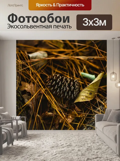 Фотообои Шишка