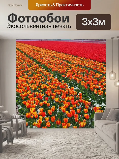 Фотообои Тюльпаны