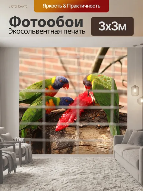 Фотообои Птицы
