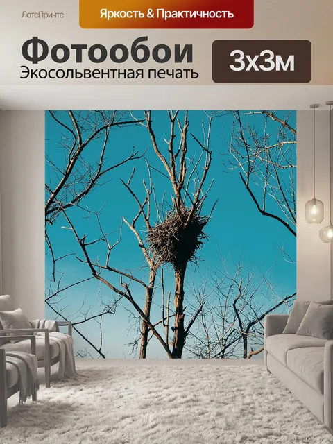 Фотообои Лес