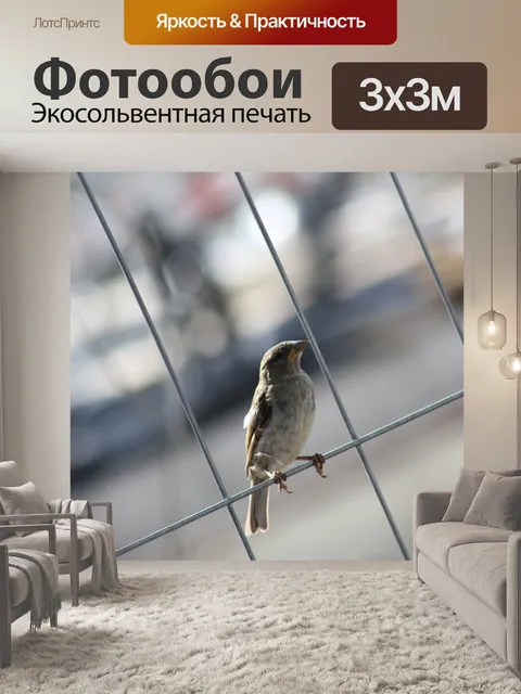 Фотообои Птица