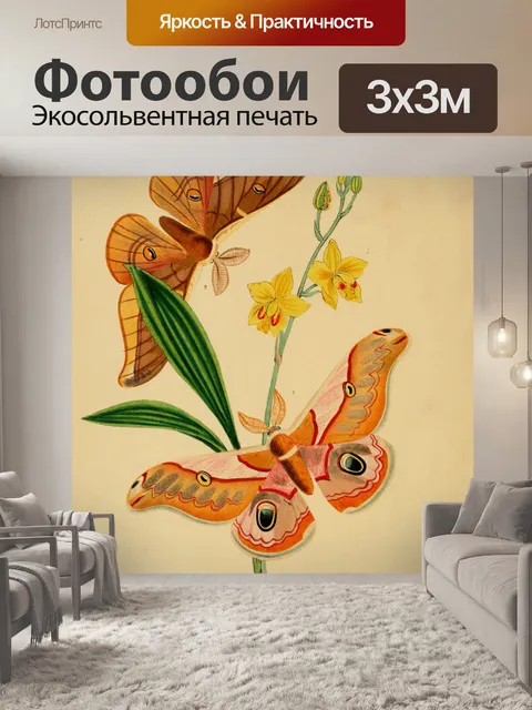 Фотообои Бабочки Винтажное Искусство