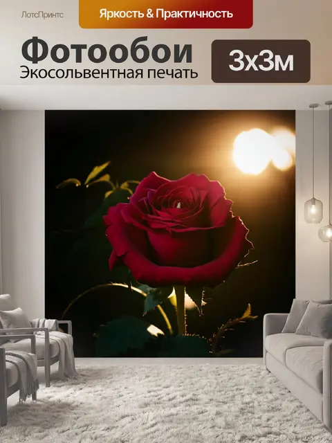 Фотообои розы в стиле готический, освещенные вечерним солнечным светом, и глубокие тени
