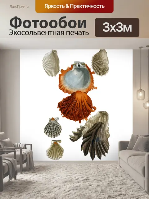 Фотообои Морская ракушка клипарт винтажное искусс