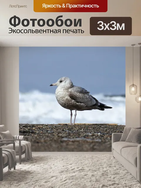 Фотообои Животное
