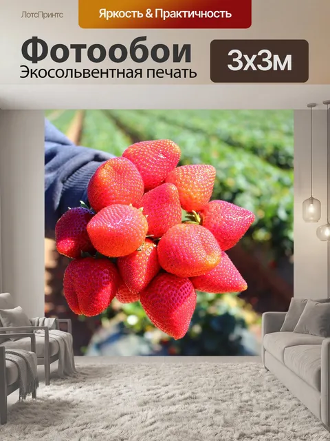 Фотообои Клубника