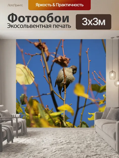 Фотообои Воробей