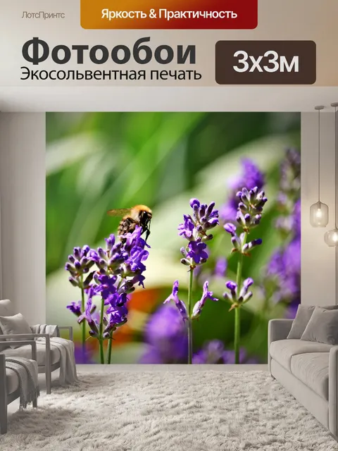 Фотообои Лаванда