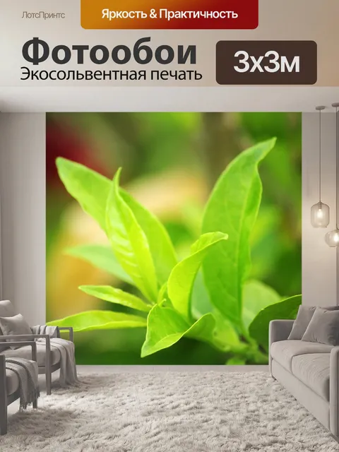 Фотообои Листья 3
