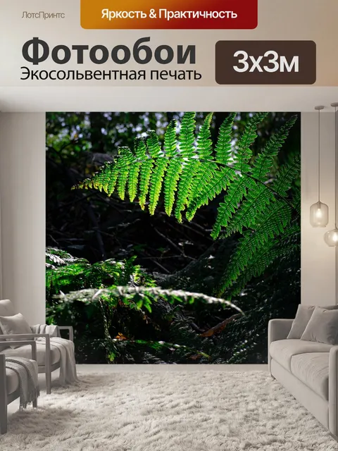 Фотообои Папоротник