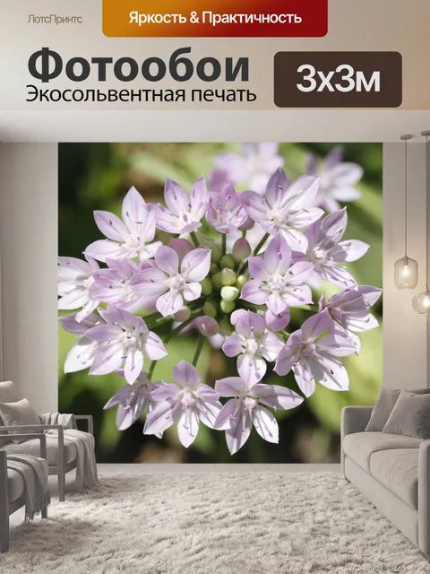Фотообои Цветы