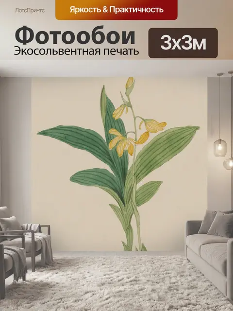 Фотообои Цветы