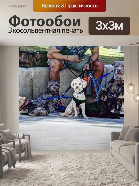 Фотообои Собачья собака