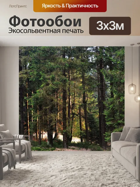 Фотообои Лес