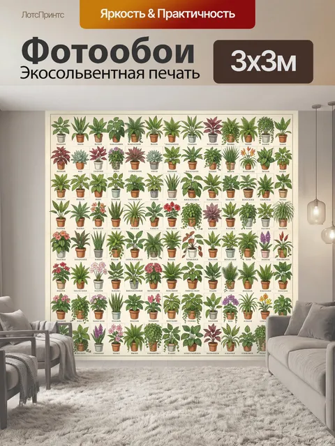 Фотообои Коллекция комнатных растений в горшках