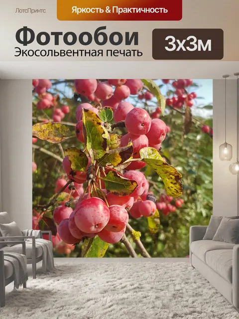 Фотообои Красные фрукты