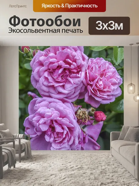 Фотообои Розы