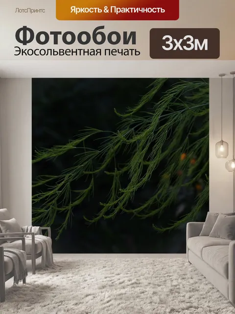 Фотообои Спаржа