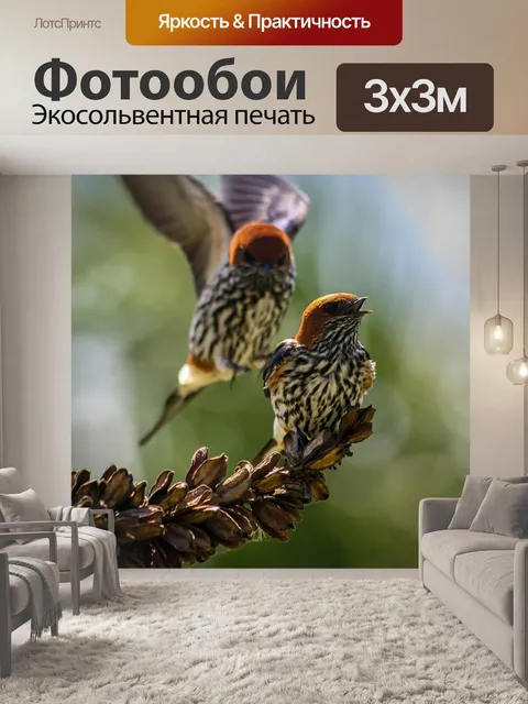 Фотообои Ласточки
