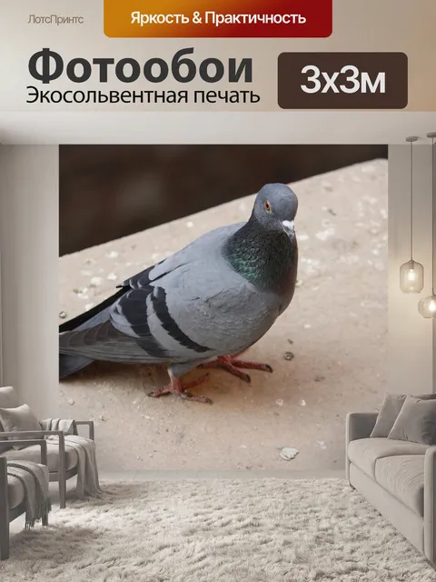 Фотообои Птицы