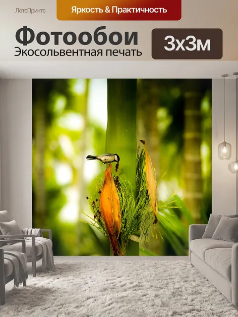 Фотообои Птица