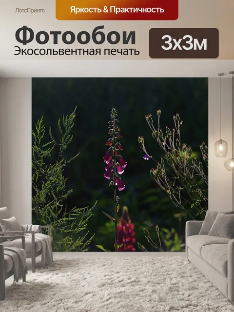 Фотообои Цветы