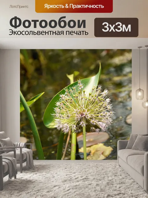 Фотообои Цветок