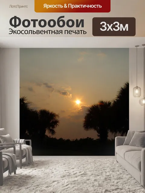 Фотообои Пальмы закат