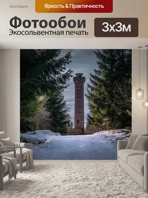 Фотообои Черный лес