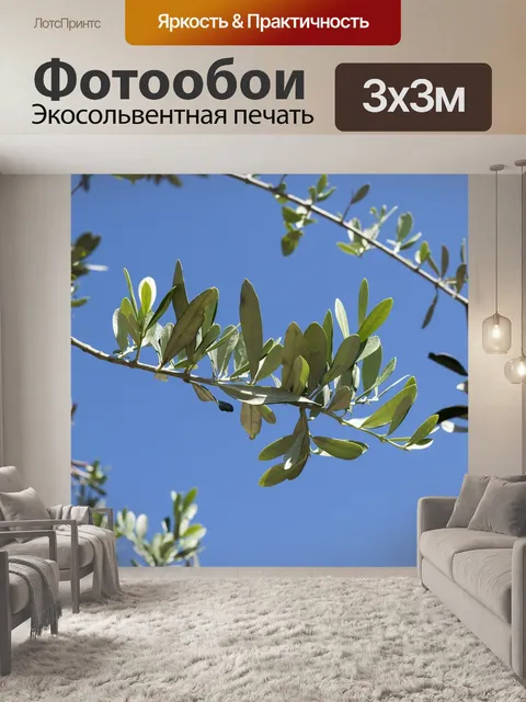 Фотообои Небо