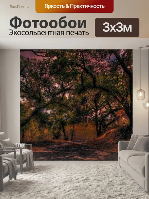 Фотообои Дорога округа на закате